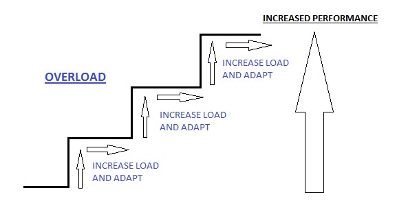 Overload principle in training adaptations