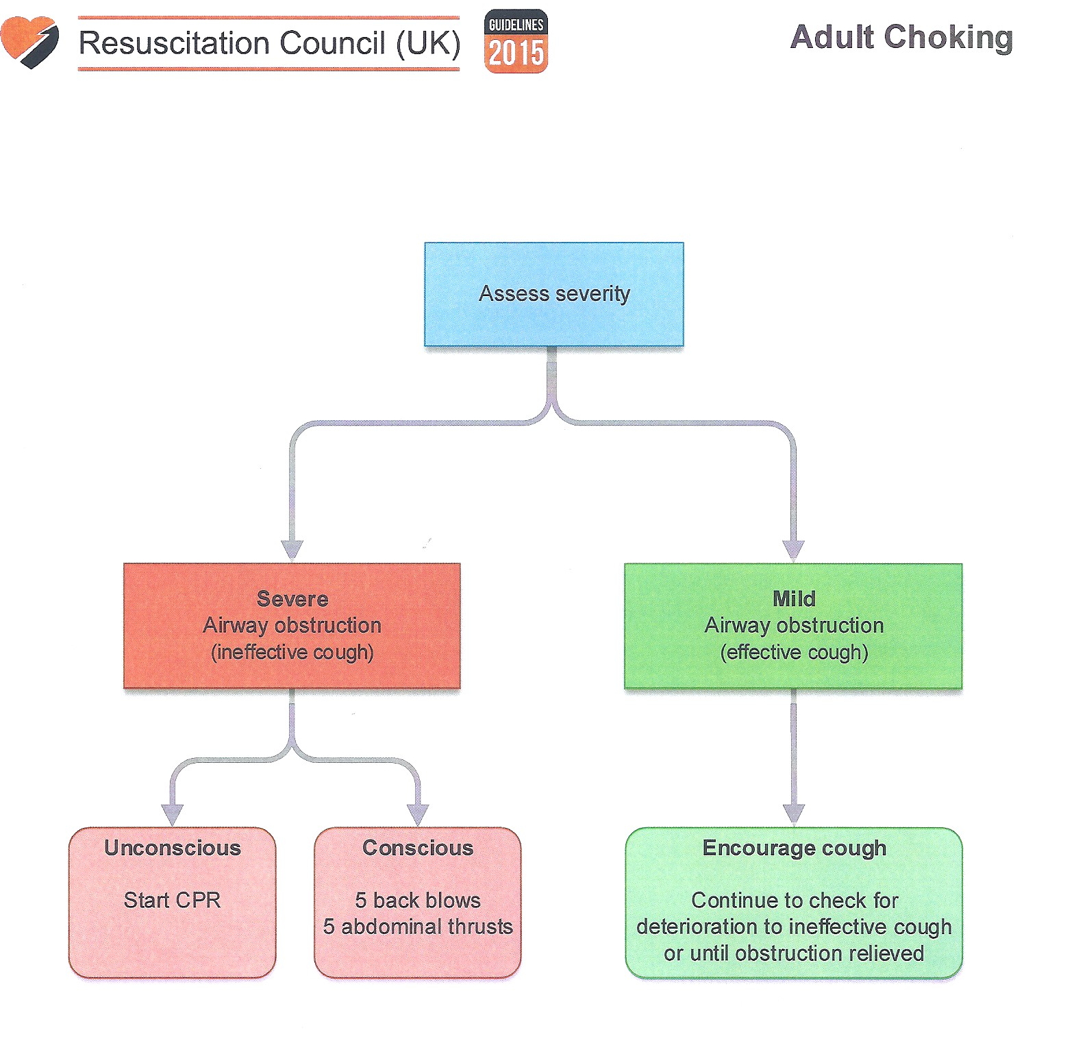 World Rugby Passport - Adult Choking